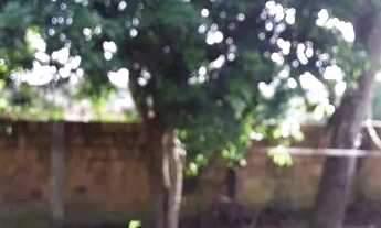 Imagem: Casa no terra nova pioriní