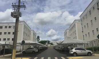 Imagem: Apartamento Padrão em Ribeirão Preto