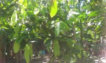 Imagem 7: Vendo Terreno em Coqueiros de Arembepe