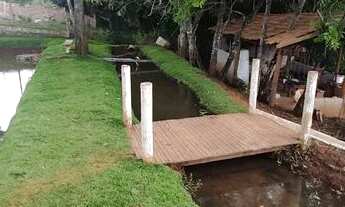 Imagem 6: Chácara em Goianira