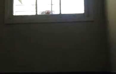 Imagem 7: LOCALIZAÇÃO - RUA CERRO CORA. ENTRE AV SÃO GUALTER E RUA PIO XI