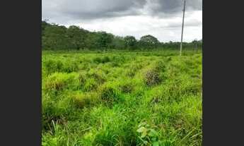 Imagem 7: FAZENDA NO MUNICÍPIO DE CABECEIRAS DE GOIÁS