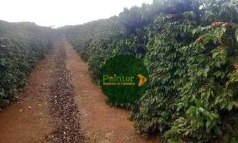 Imagem 6: Fazenda à venda, 3949439 m² por R$ 12.000.000 - Turvolandia - Turvolândia/MG