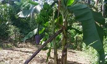 Imagem 4: Troco um terreno numa biz