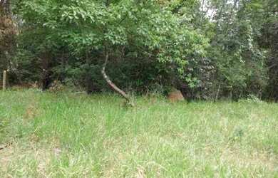 Imagem 4: Chácara de + ou - 1.100m² riacho nos fundos terra de cultivo Jaboticatubas