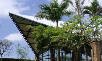 Imagem 4: Propriedade Rural com Renda e Potencial de Expansão