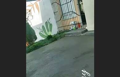 Imagem 2: Casa para alugar localizada no Aluízio Campos