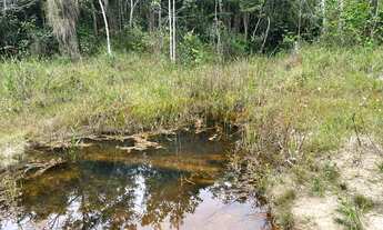 Imagem 4: FAZENDA EM MATA DE SÃO JOÃO EXCEPCIONAL LOCALIZAÇÃO OPORTUNIDADE