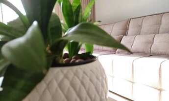 Imagem 5: Paranaguá - Casa Padrão - Santos Dumont