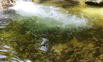 Imagem: Chácara com cachoeira Ubatuba