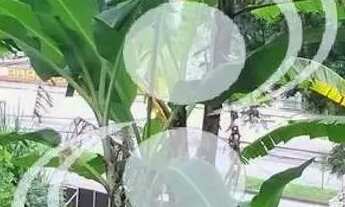 Imagem 7: Excelente área 2000m² - Camorim