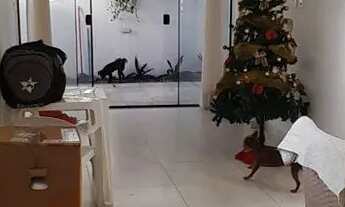 Imagem 2: Apto térreo com área externa 3 quartos