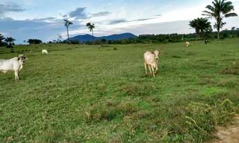Imagem 6: Fazenda em Boa Vista/RR