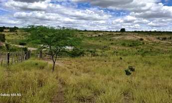 Imagem 3: FAZENDA EM LAJEDINHO - 4000 TAREFAS