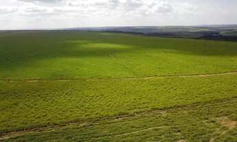 Imagem 7: Fazenda extra no Goiás