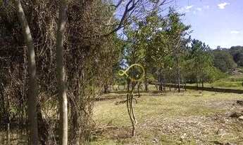 Imagem 3: Terreno à venda, 1500 m² por R$ 350.000,00 - Balneario Porta Paraiso - Atibaia/SP