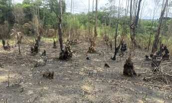 Imagem 4: Últimas Unidades! Terreno 1000m² em Ibiúna por Apenas R$ 57.900