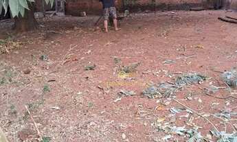 Imagem 5: Terreno à venda, 142 m² por R$ 70.000,00 - Parque das Hortências - Araraquara/SP