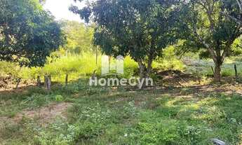 Imagem 2: Fazenda à venda em Niquelândia com 50 alqueires em Goiás