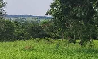 Imagem 5: Chácara em Pontalina