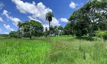Imagem 2: Terreno 4.5 ha, 100% formado em pastagem, agua corrente nos fundos, pomar