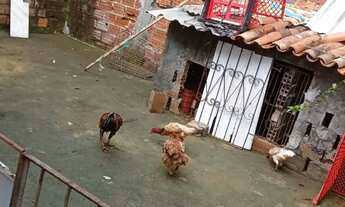 Imagem 2: Vendo essa casa na ilha de itaparica