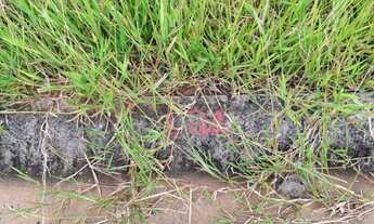 Imagem 2: Terreno no Portal do Lago, Caçapava
