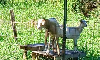 Imagem 3: Chácara barata top viana