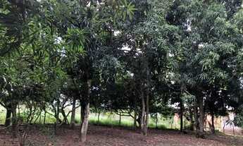 Imagem 5: SÍTIO EM SÃO GONÇALO - 5,5 TAREFAS