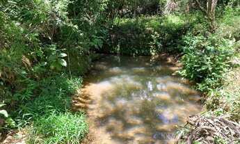 Imagem 4: Terreno 4.5 ha, 100% formado em pastagem, agua corrente nos fundos, pomar