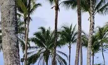 Imagem 5: Imóvel para venda 80mts² com 2 quartos em Taperapuan - Porto Seguro - BA