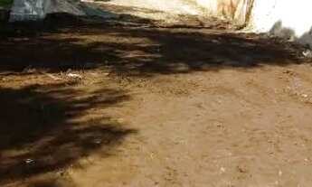 Imagem 3: VENDO TERRENOS BAIRRO ALTO