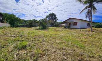 Imagem 5: Terreno Plano ideal para fazer um loteamento