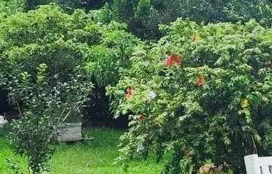 Imagem 3: LINDA CHÁCARA À VENDA 5.000 m² DE LAZER