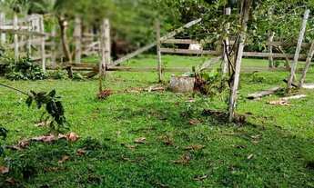 Imagem 5: Imóvel para venda possui 800000 metros quadrados em a - Careiro - AM
