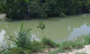 Imagem: Fazenda à Venda em Matrinchã Goiás