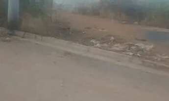 Imagem: Lote 289,10m