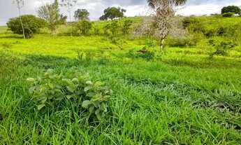 Imagem 7: Chácaras de 20mil mt em maripotaba última unidade!