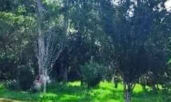 Imagem 2: LINDA CHÁCARA À VENDA 5.000 m² DE LAZER