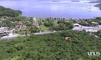 Imagem 4: Terreno ideal para Investimento no Cacupé !