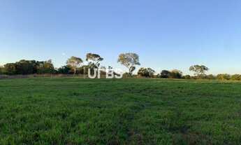 Imagem: Fazenda em Tocantins