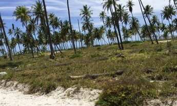 Imagem 5: Terreno para Venda em Mata de São João, Alphaville (Abrantes
