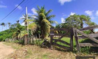Imagem 5: Junior creci-4745 - OPORTUNIDADE - Venda - Terreno em Frente ao Mirante dos Golfinhos - 5