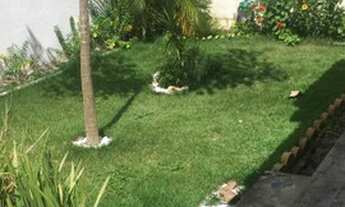 Imagem: Aluguel de casa