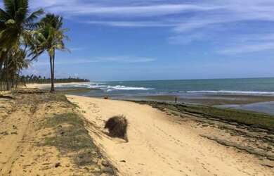Imagem 6: Terreno para Venda em Mata de São João, Alphaville (Abrantes