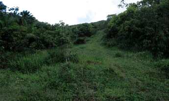 Imagem 5: Fazenda a venda a poucos km de Valença-BA