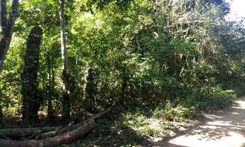 Imagem 2: Vendo Terreno 10.000m2 em Nova Iguaçu Tinguá - Sitio