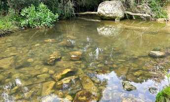 Imagem 4: Anitapolis - Alfredo Wagner vendo sítio