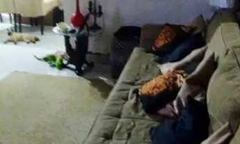 Imagem 3: Vendo ou Troco uma Residencia Prox. West Shopping