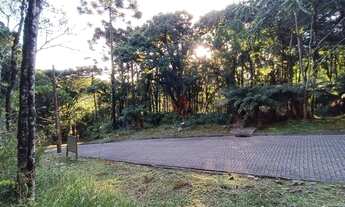 Imagem 4: Terreno no Residencial Pinheiro Grosso em Canela!